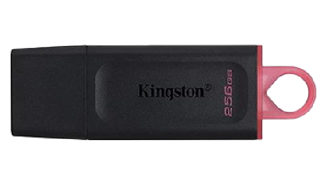 Kingston 256GB